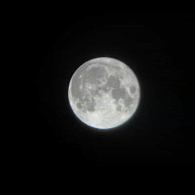 ExifではISO 32, f/1.6, 1/407秒だそうな。