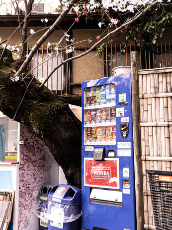 上野公園のちょっとレトロな感じがする自販機