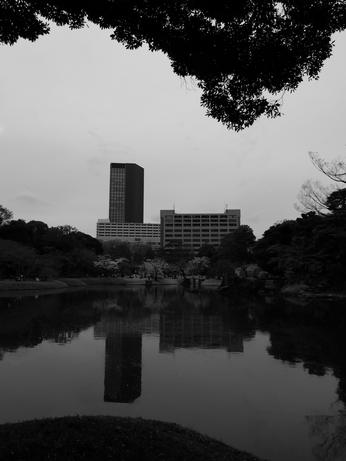 小石川後楽園1
